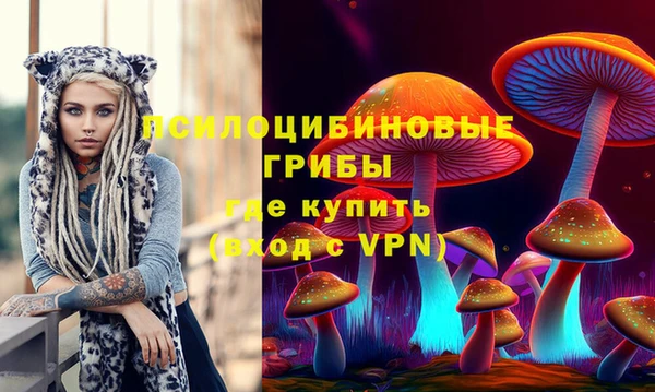 соль ск Бородино