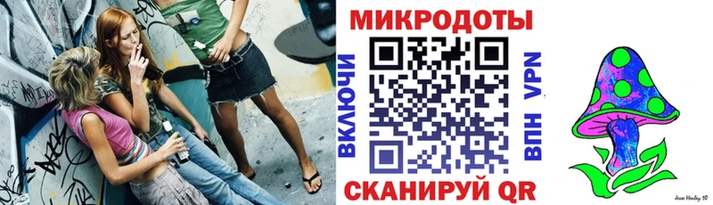 купить наркотик  Карабаш  Галлюциногенные грибы Psilocybe 
